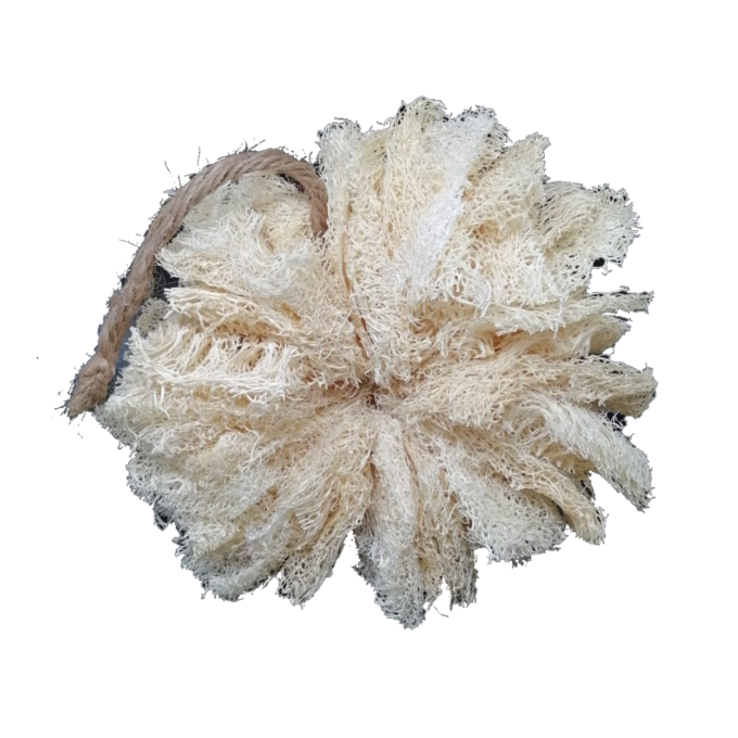 Akoussa Fleur De douche AwoBeauty